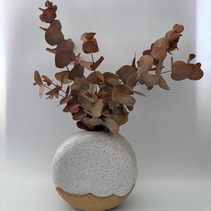 May include: A round, flat-faced ceramic vase with a speckled white glaze on the upper portion and a textured, unglazed tan base. The vase contains several dried eucalyptus branches with brown, rounded leaves extending upwards from the opening.