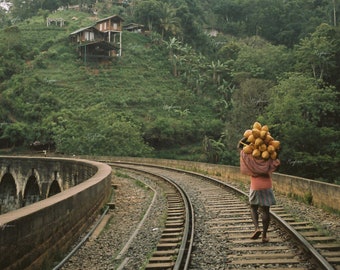 Poster - Analogue Photography - "Coconut" - Sri Lanka