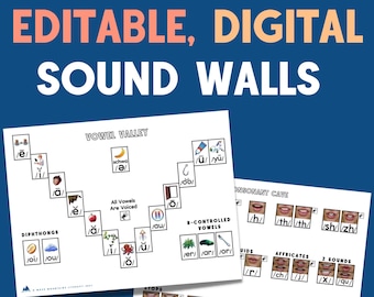 Editable, Digital Sound Wall