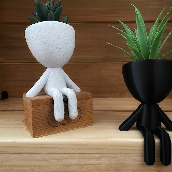 Robert Plant Pot | Cactus and succulent pot | Home decoration | Artificial plants