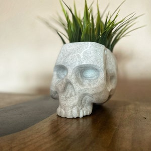 Puede incluir: Un macetero de calavera de cerámica blanca con una planta verde que crece en la parte superior. La calavera tiene un diseño detallado y una superficie texturizada.
