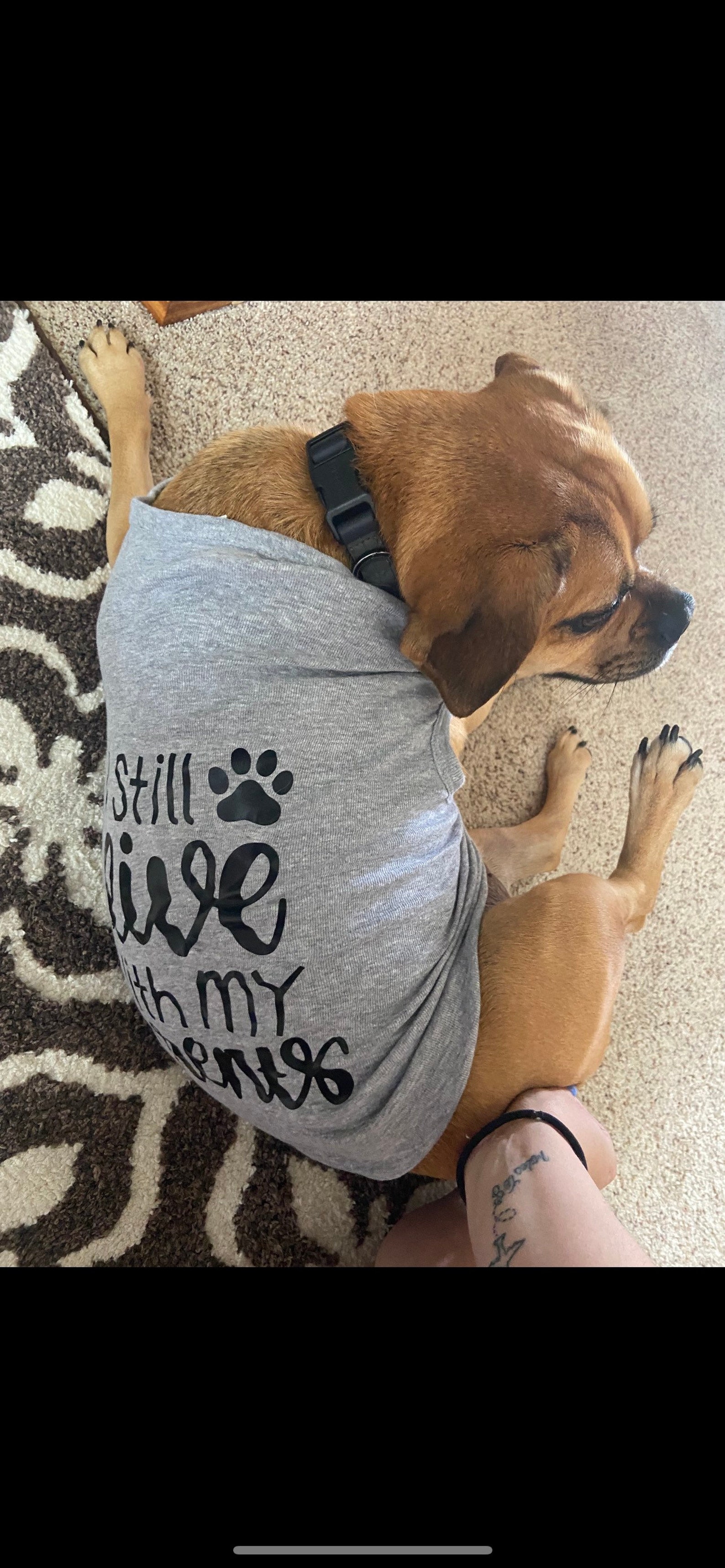 i still live with my parents shirt dog