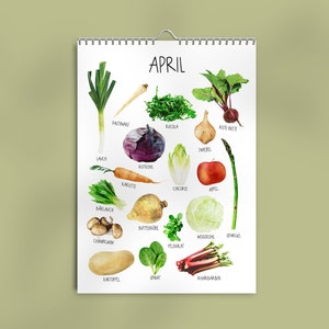 Seasonal calendar A4 seasonal vegetables for local fruit and vegetables printed climate-neutrally Calendar for the kitchen Everlasting image 1