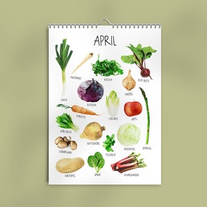 Seizoenskalender A4 seizoensgroenten voor lokale groenten en fruit | klimaatneutraal bedrukt | Kalender voor de keuken | Eeuwigdurend