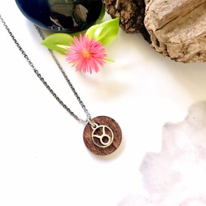 Joias do Signo do Zodíaco - Capricórnio, Aquário, Peixes, Áries, Touro, Gêmeos, Câncer, Leão, Virgem, Libra, Escorpião, Sagitário.