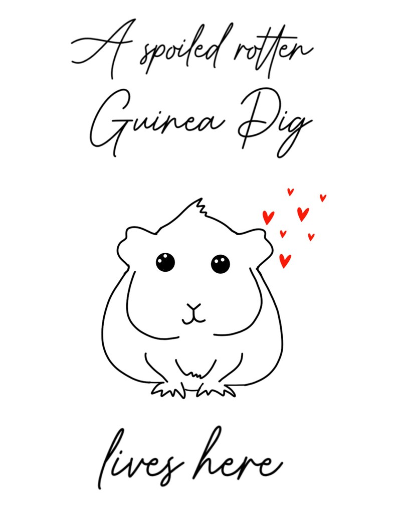 Visual Reference: Spoiled Rotten Guinea Pig Lives Here Digital Download Printable