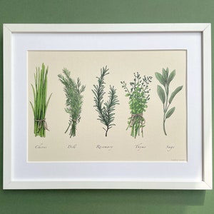 Kräuter Illustration Kunstdruck | Wohnkultur | Wandkunst | A4 Poster | Umweltfreundlich