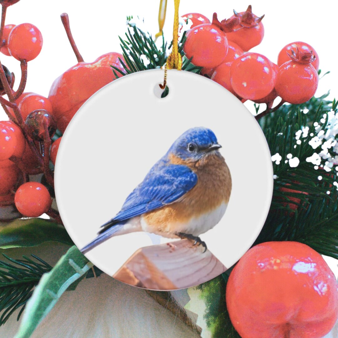 Bluebird Christmas Ornament 