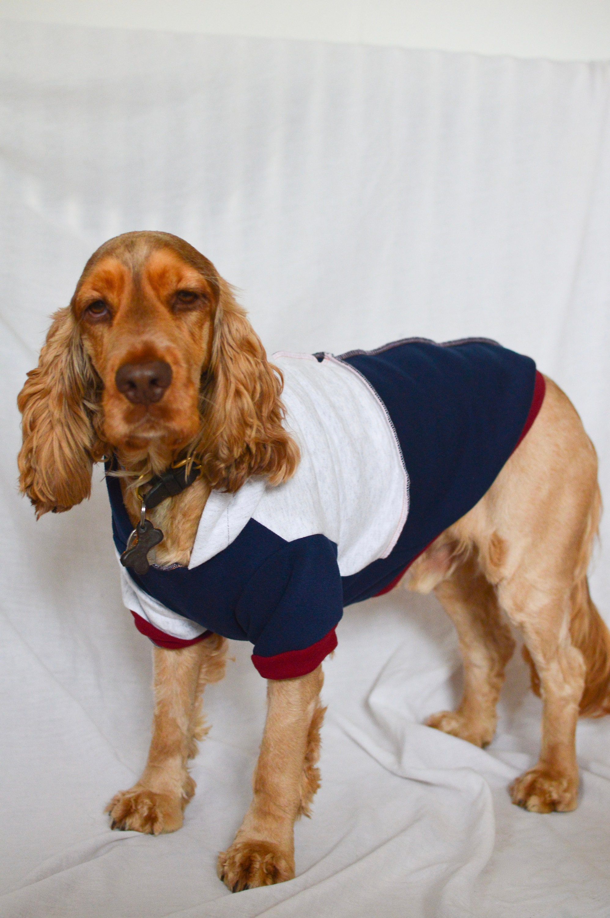 Cocker hotsell spaniel clothes