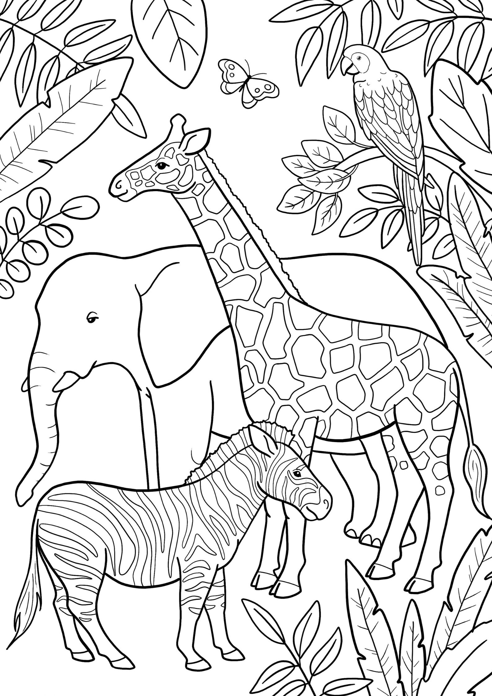 Digital zoo colouring | Etsy