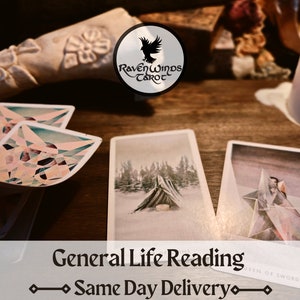 Lectura de la vida general el mismo día / Lectura honesta del tarot / Lectura el mismo día / Lectura en audio o escrita / Rápido / Profesional / Tarot de la vida