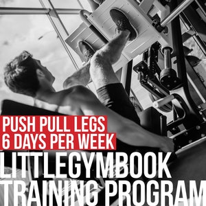 Pode incluir: Fotografia em preto e branco de duas pessoas a treinar no ginásio. O texto "PUSH PULL LEGS 6 DAYS PER WEEK LITTLEGYMBOOK TRAINING PROGRAM" é exibido na imagem.