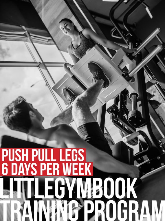 Push Pull Legs 12 Week Exercise Program