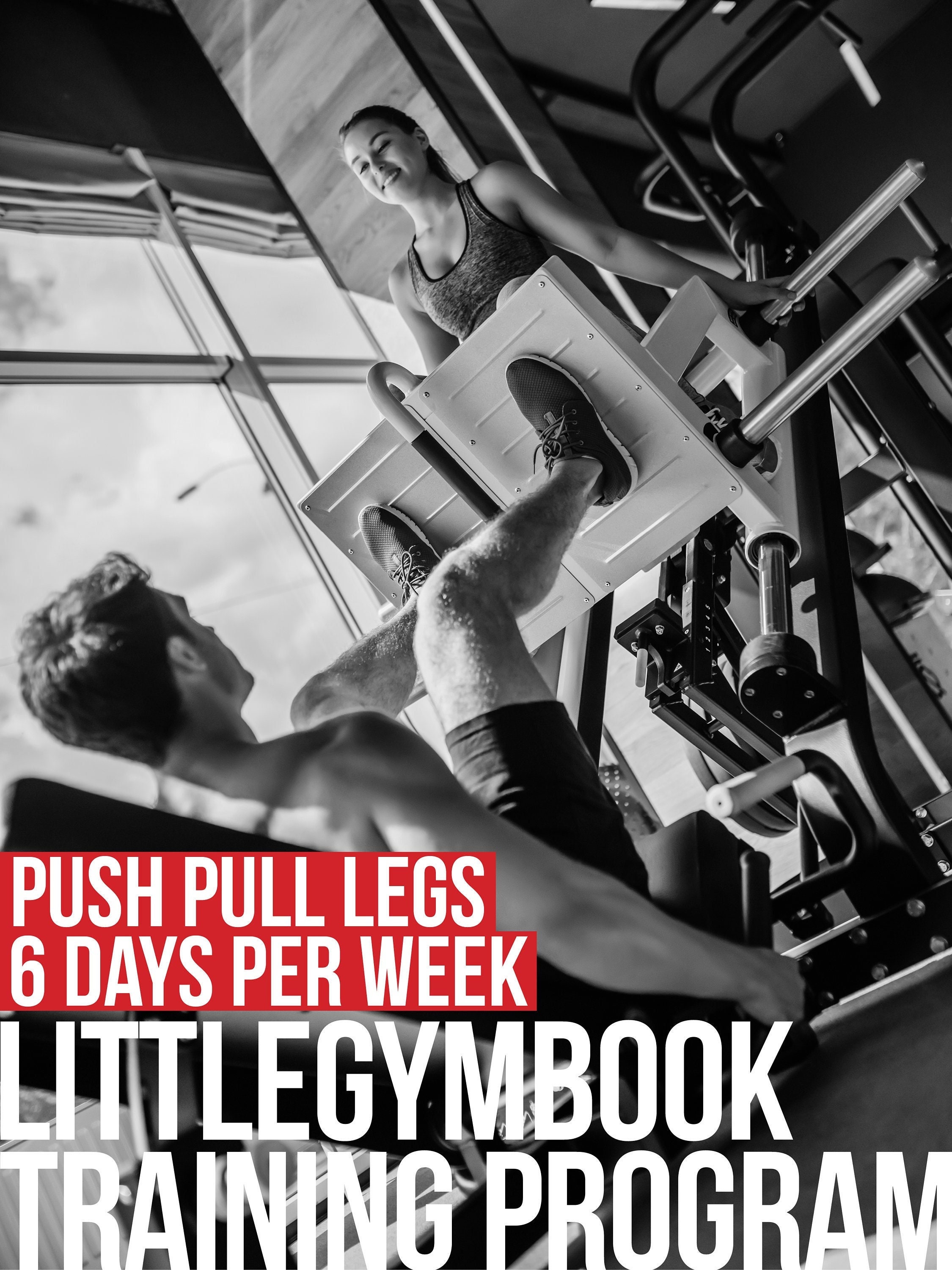 Push Pull Legs 12 Week Exercise Program Etsy Hong Kong