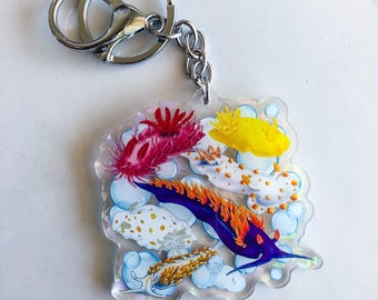 Nudibranchs of the Pacific Northwest keychain, sea slug key chain, gift for diver