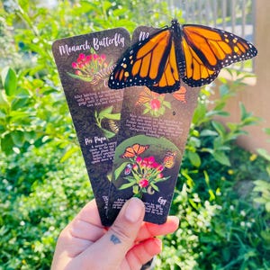 May include: A monarch butterfly with orange and black wings rests on two cards. The cards feature illustrations of the butterfly life cycle, including the egg, pre-pupa, and adult stages, with the words "Monarch Butterfly" visible.