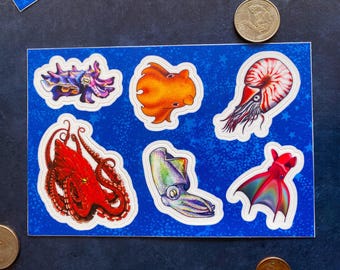 Weather resistant Cephalopod 4x6 sticker sheet, Octopus stickers, squid sticker, vampire squid