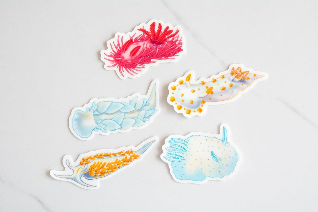 Glow in the Dark Vinyl Nudibranch Stickers, Pacific Northwest ...