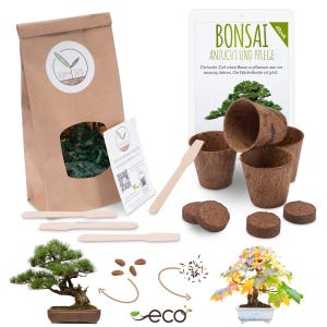 Könnte beinhalten: Bonsai-Anzuchtset mit brauner Papiertüte, Holzstäbchen, Torftöpfen, Torftabletten und einem E-Book mit dem Titel "Bonsai Anzucht und Pflege".