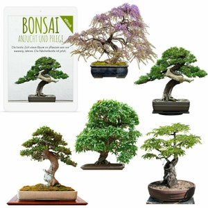 Exotic bonsai seeds with high germination rate - set of 5 including FREE eBook