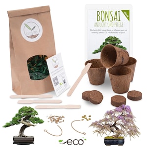 Könnte beinhalten: Bonsai-Anzuchtset mit brauner Papiertüte, Holzstäbchen, Torftöpfen und einem digitalen eBook mit dem Titel "Bonsai Anzucht und Pflege". Das Set enthält Samen, Anleitungen und einen kleinen Bonsai in einem schwarzen Topf.