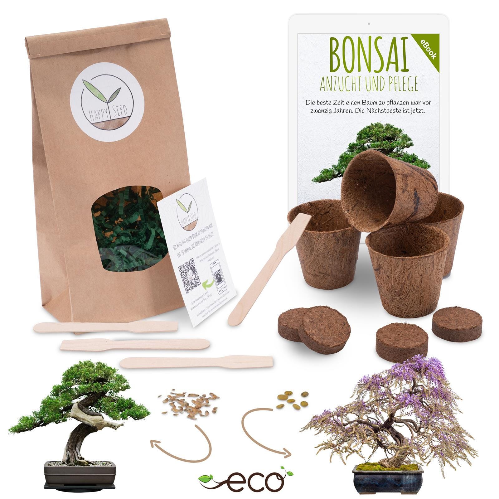 Bonsai Starter Kit Anzuchtset inkl. GRATIS eBook - Pflanzset aus  Kokostpfen, Samen & Erde (Afrikanischer Blauregen + Australische Kiefer) -  Etsy sterreich