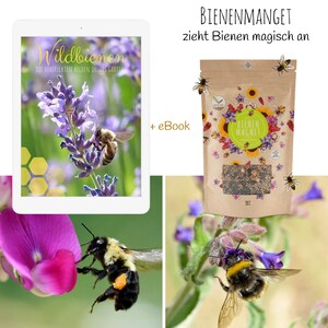 Blumenwiese Samen für eine bunte Bienenweide Farbenfrohe Wildblumensamen inkl. GRATIS eBook Bild 6