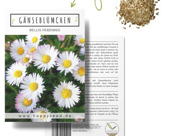 Gänseblümchen Samen (Bellis perennis) - Zarte Blumen mit langer Blütezeit für eine bunte Blumenwiese, das Beet, den Balkon und die Terrasse