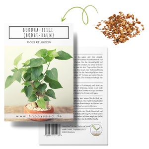 Unique bonsai seeds with high germination rate - Plant seed set for your own bonsai tree (1x Buddha fig)