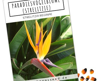 Coriandoli Di Fiori Da Piantare – 10 Sacchetti Con Semi Di Fiori Selvatici E Carta Da Semi, Regalo Sostenibile