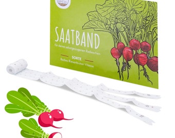 5m Saatband Radieschen Samen (Radies Riesenbutter Vitessa) - Saftig, rote Radieschen ideal für die Anzucht im Garten, Balkonkasten & Gemüseb