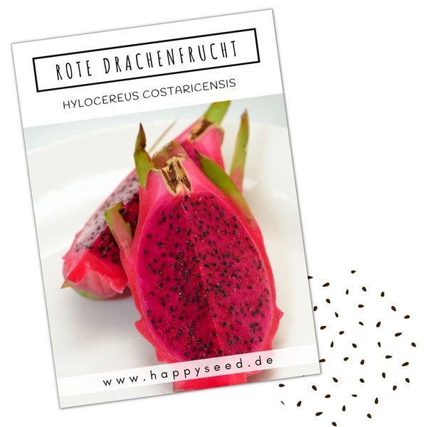 Semi di frutto del drago rosso (Hylocereus costaricensis) - rari semi di pitaya ideali per la coltivazione indoor e outdoor