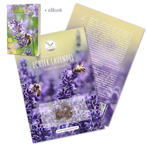 300x Lavender seeds with high germination rate - Versatile medicinal plant & ideal for bees and butterflies (incl. FREE eBook)