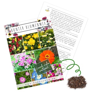 Mix di semi di fiori da balcone - Fiori colorati con un lungo periodo di fioritura, ideali per il tuo balcone, giardino e prato fiorito (mix di fiori)