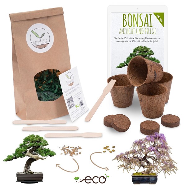 Bonsai Starter Kit Anzuchtset inkl. GRATIS eBook - Pflanzset aus Kokostöpfen, Samen & Erde  (Afrikanischer Blauregen + Australische Kiefer)