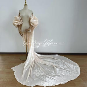 May include: A long, flowing wedding dress with a fitted bodice and a dramatic train. The dress has large, puffy sleeves and is made of a shimmering, satin-like fabric.