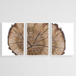 Puede incluir: Un primer plano de una sección transversal de un tronco de árbol, mostrando la veta de la madera y los anillos. La imagen está dividida en tres secciones, cada una enmarcada en blanco.