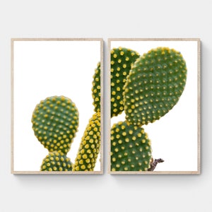 Botanischer Kaktus Art Set 2 Drucke, Natur Botanischer Druck Set, druckbare Wand Kunst Kaktus Dekor, Sukkulenten Kaktus Poster, herunterladbar