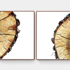 Abstract Tree Ring Wall Art Set of 2 Prints, Abstract Minimalist Art, Printable Wall Art, Pine Tree Stump Wood Slice Art, Printable Download