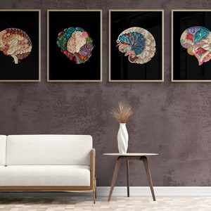 May include: Four framed prints of colorful, detailed anatomical brain illustrations on a black background. The prints are hanging on a textured brown wall.