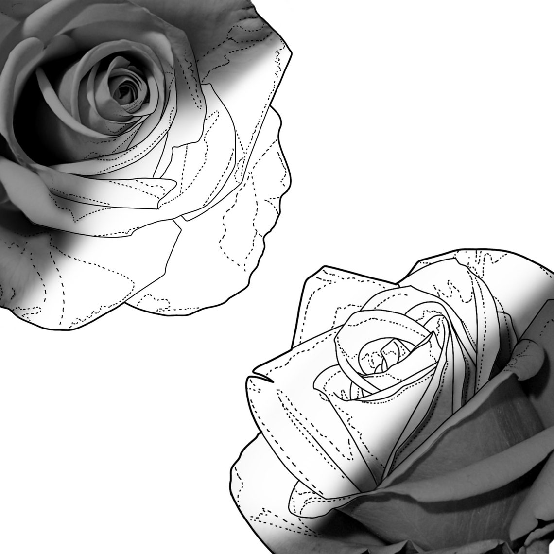 130+ Realistic Rose Tattoo Stencil Procreate Brush Set MEGA Bundle - Etsy
