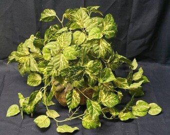 Sztuczna roślina Pothos w plecionym koszyku – wystrój domowego biura