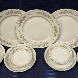 Triumph China Floral Dinnerware: Japan Teacups, Plates, Bowls