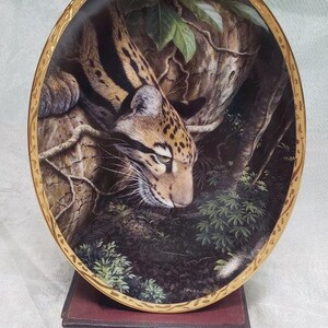 Treetop Vantage – Clouded Leopard – Bradford Exchange Verified Display Plate – Guardians of the Wild by Jeffrey R. Farmer – Plate Four 552A