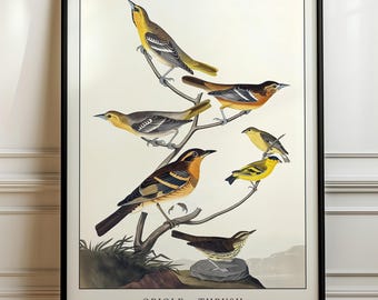 Bedroom Decor, Vintage style prints, Eccletic artwork, Gallery wall, Bird poster, Audubon style prints, Bird lover gift idea
