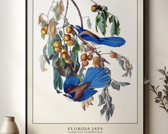 Bird Artwork, Vintage wall art, Living room Prints, Botanical prints, Unique Gift idea, Fine art, Birds poster, Gift for dad, Artwork