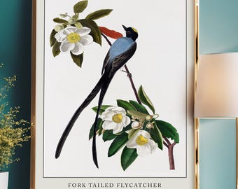 Audubon Bird Prints, Vintage Illustration, Bird wall art, Birds of America, Vintage Decor, Vintage prints Unique gift idea, Vintage Nature