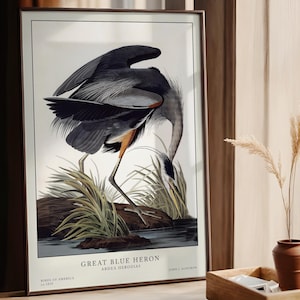 Audubon Great Blue Heron, Vintage bird print, Natural History wall decor, Coastal illustration, Bird lover gift, classic home decor,