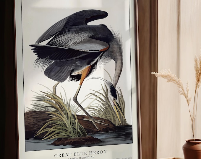 Audubon Great Blue Heron vintage bird print, natural history wall decor, bird lover gift, wildlife art, nature wall art, ornithology artwork