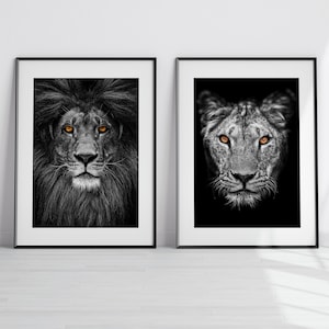 Lion Poster Set, Lion and Lioness Poster, Lion Head, Poster of Lion, Lion Photograph, Lion Gift, Art print of lion
